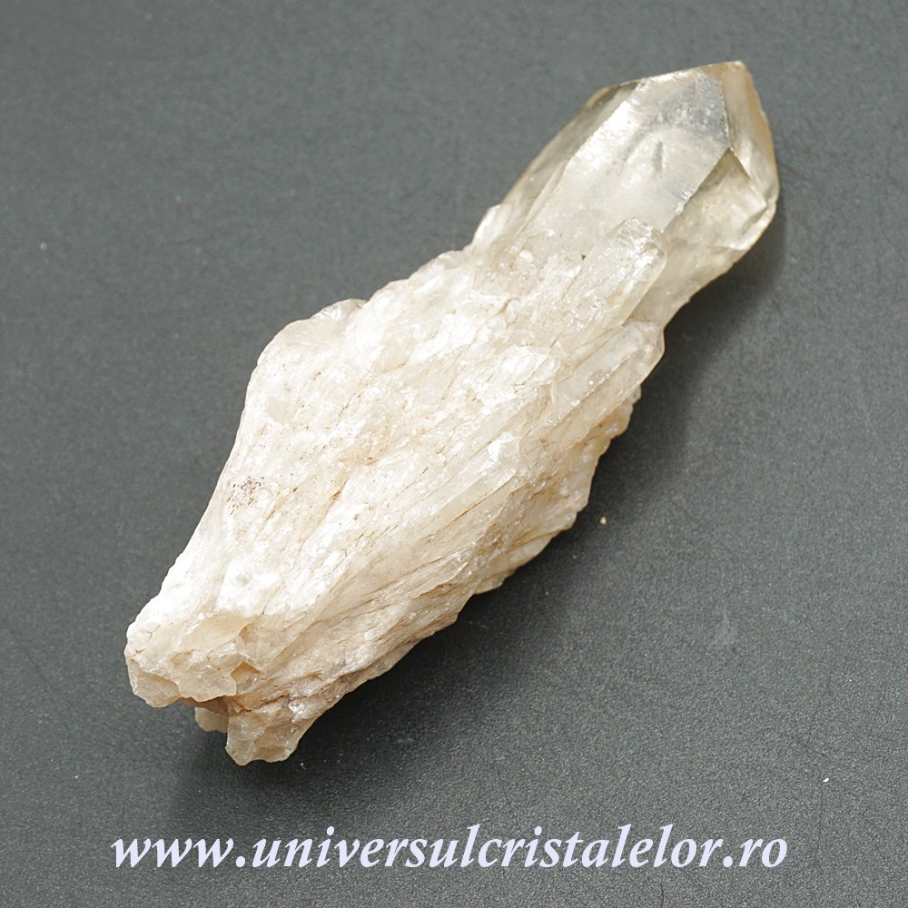 the ordinary natural moisturizing factors + ha Citrin natural m22