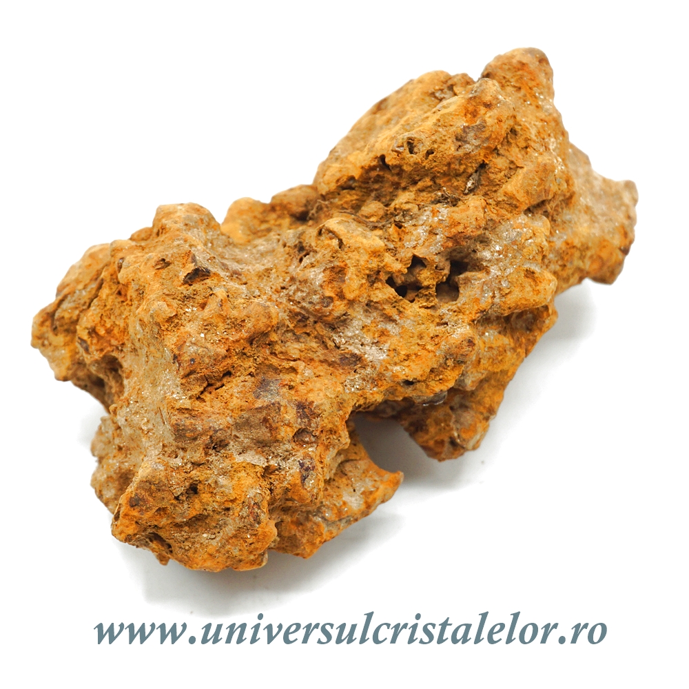 Coprolit broasca testoasa preistorica