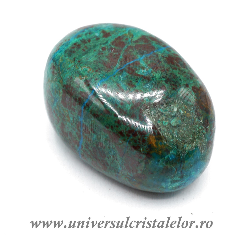 Collectibles Crisocola polisata