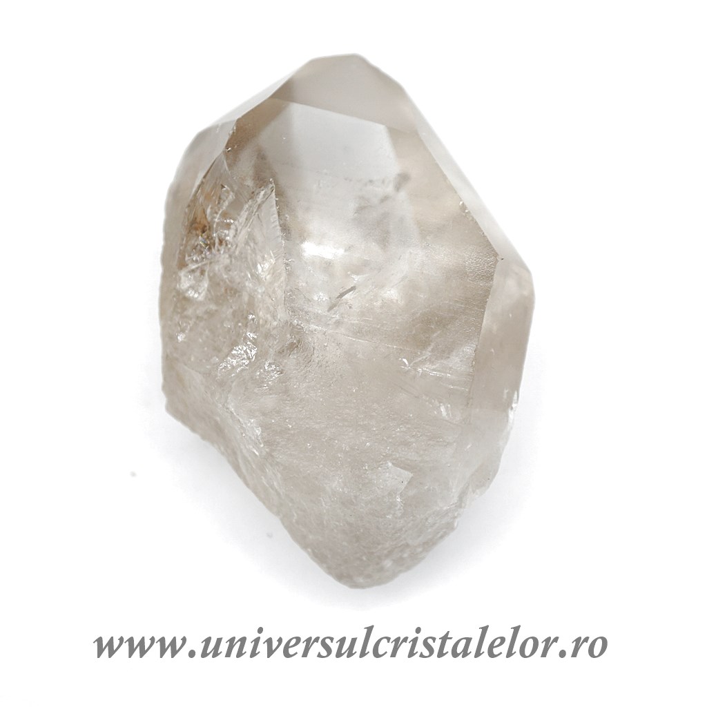 Collectibles Cuart lemurian