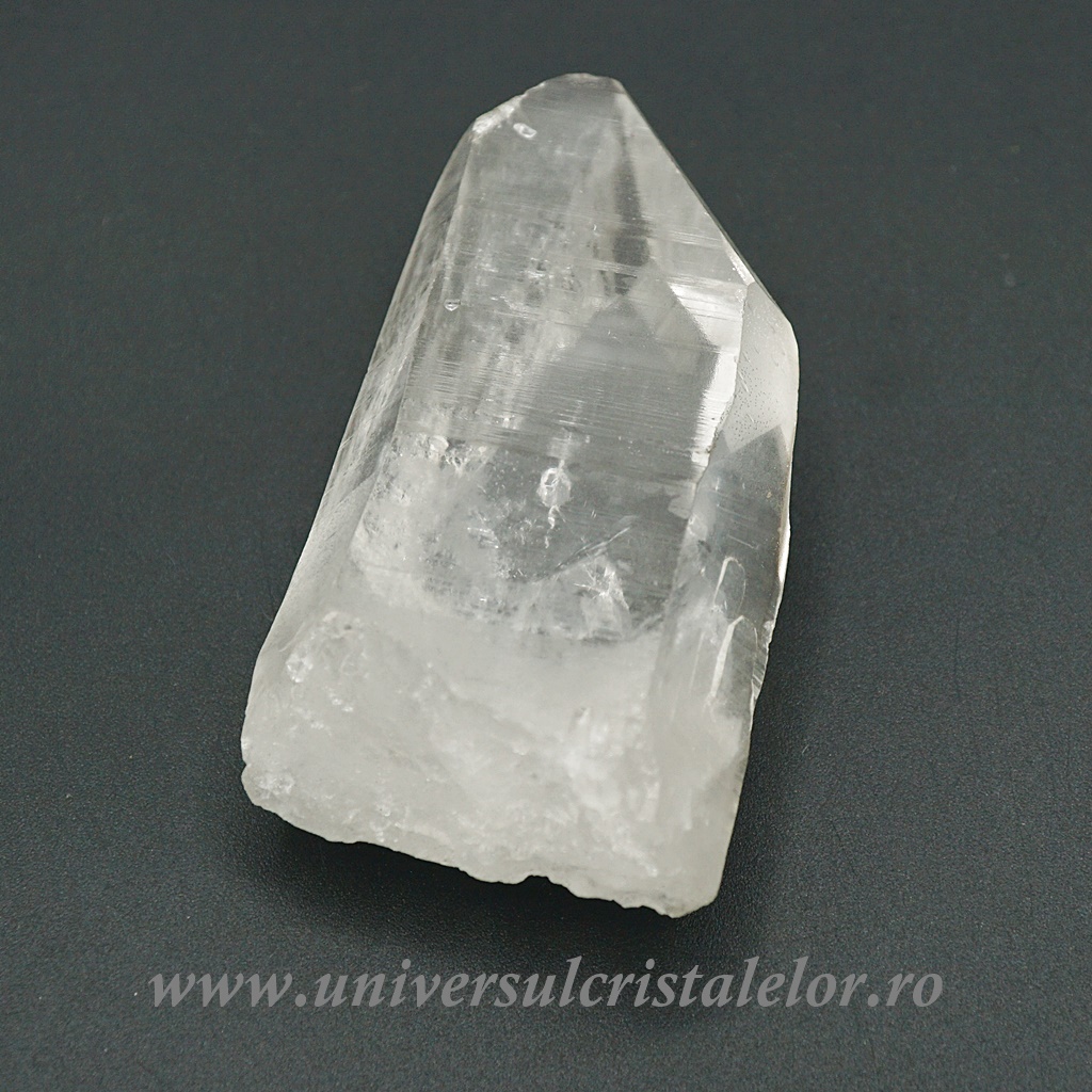 Collectibles Cuart lemurian