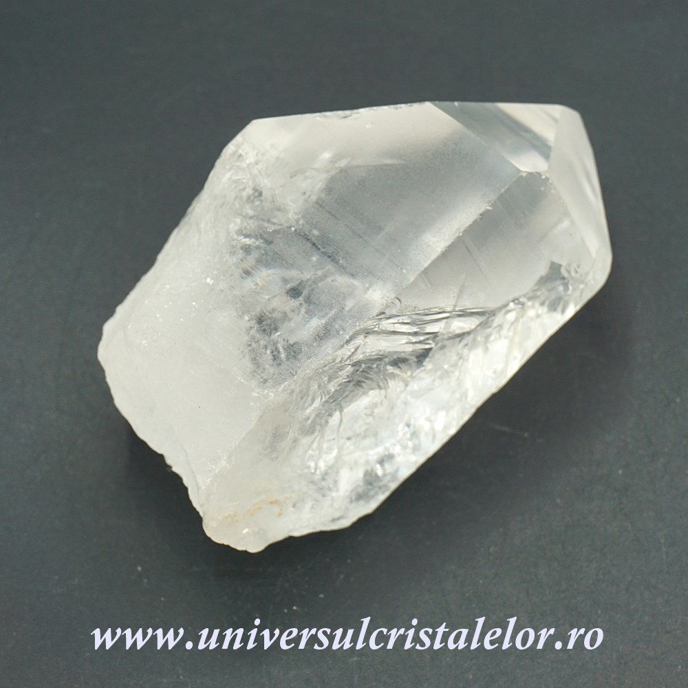 Cuart lemurian