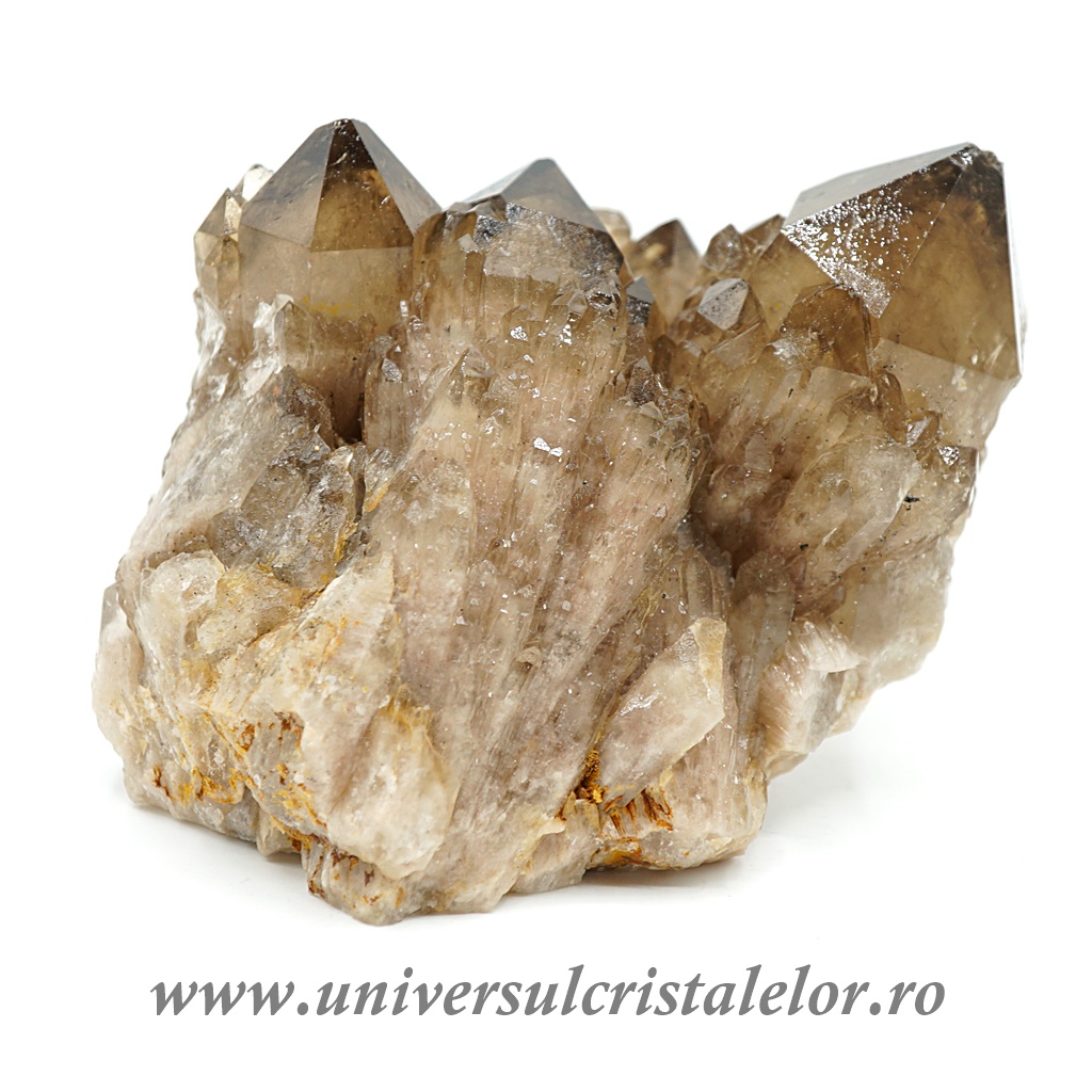 Cuart fumuriu cluster