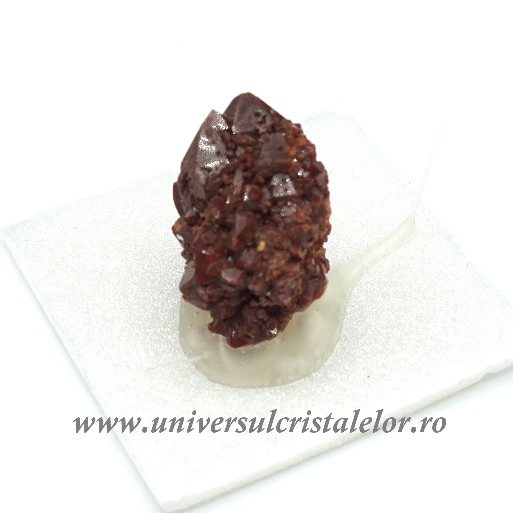 Hobbies & Creative Arts Cuart rosu