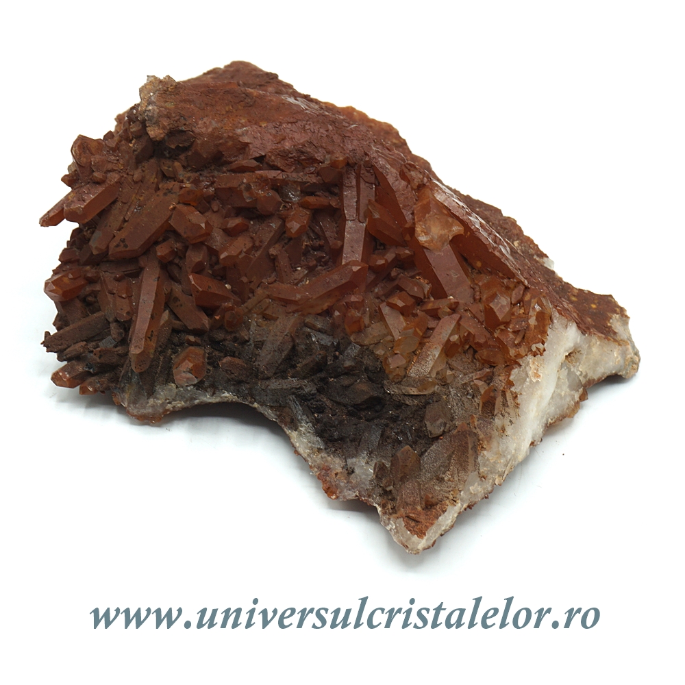 Fruits & Vegetables Cuart tangerin