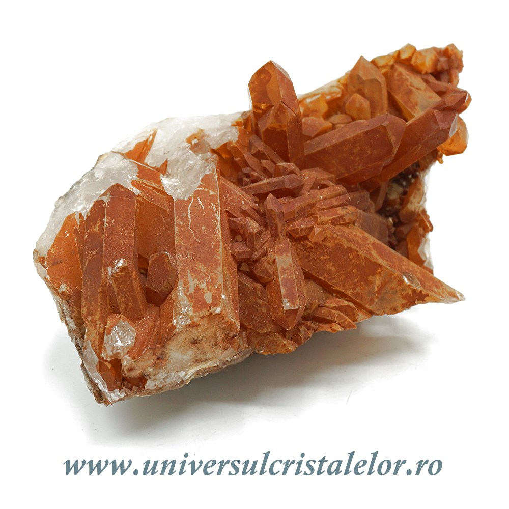 Cuart tangerin Cuart tangerin