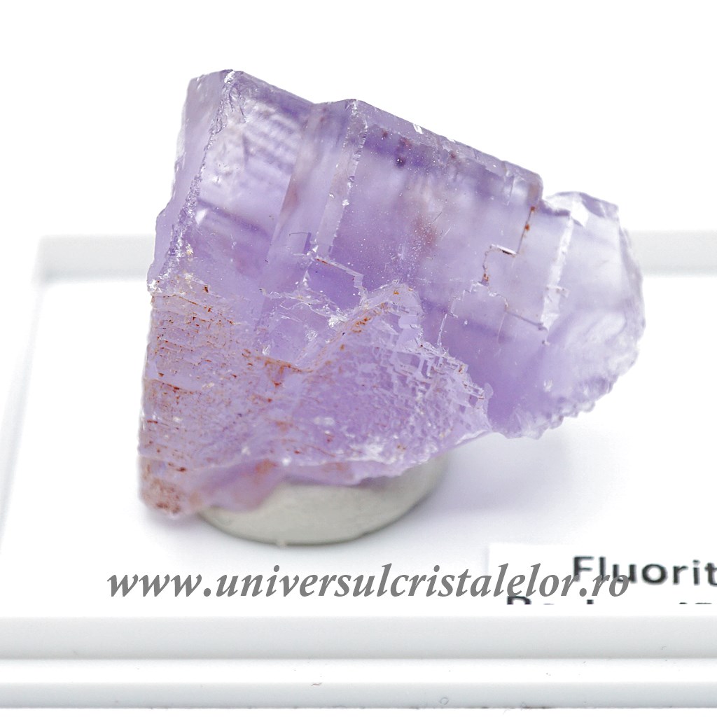 Collectibles Fluorina mov