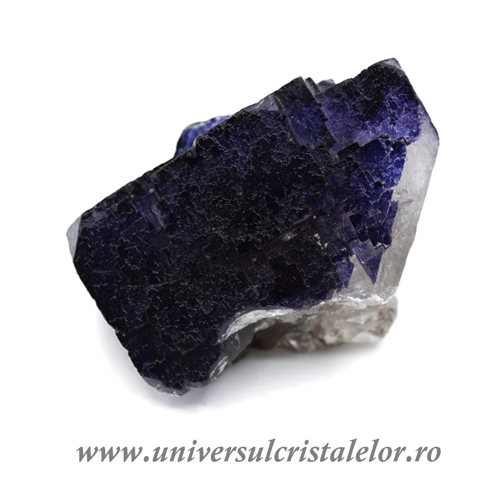 glicina mov Fluorina mov