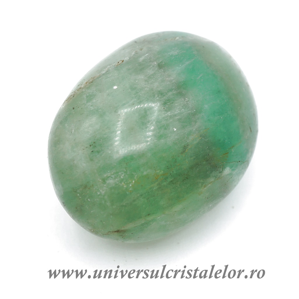 Collectibles Fluorina polisata