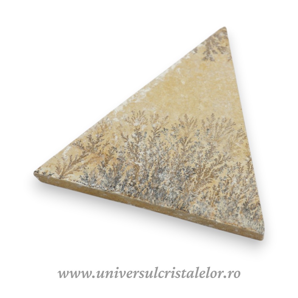 Dendrite Naturale pe Calcar Litografic 12 cm