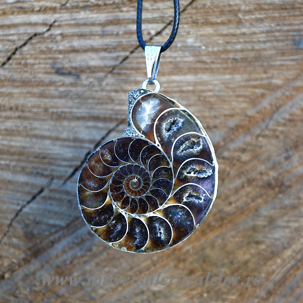 Charms & Pendants Pandantiv amonit