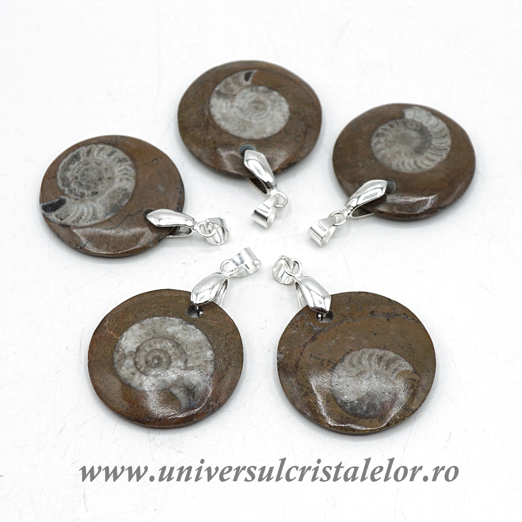 Fosile Pandantiv goniatit