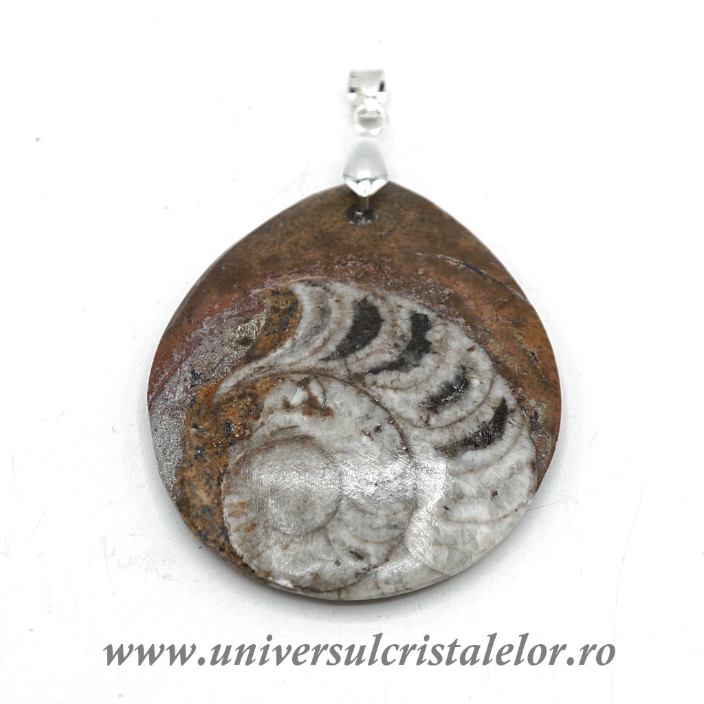 Charms & Pendants Pandantiv goniatit