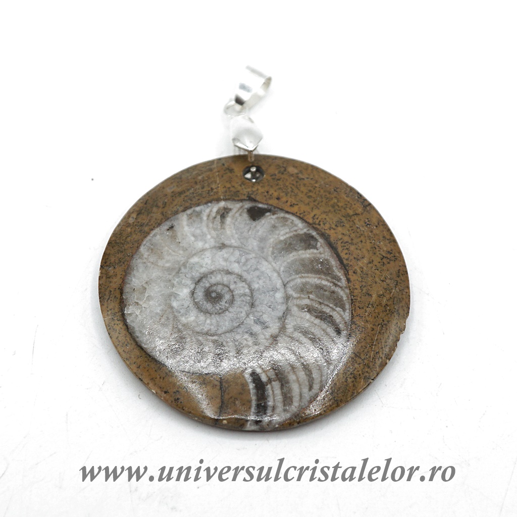 Fosile Pandantiv goniatit