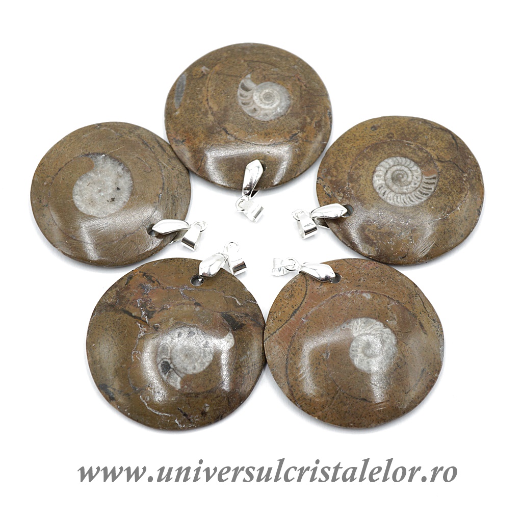 Charms & Pendants Pandantiv goniatit