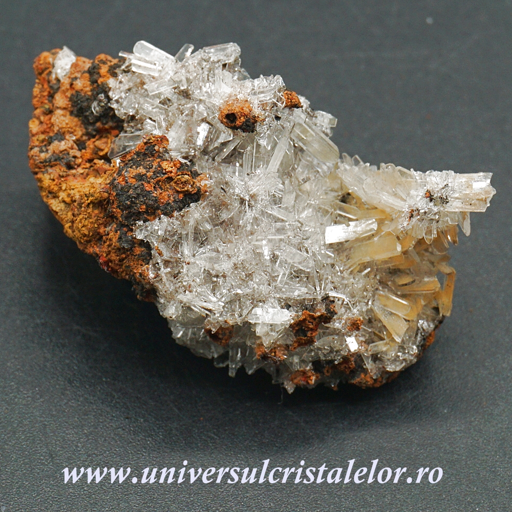 ceas santa barbara polo & racquet club Hemimorfit