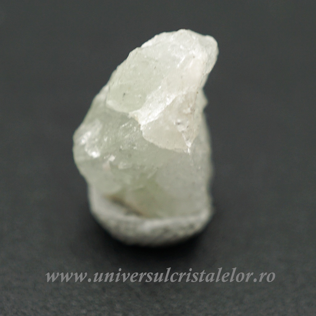 Arts & Entertainment Herderit m13