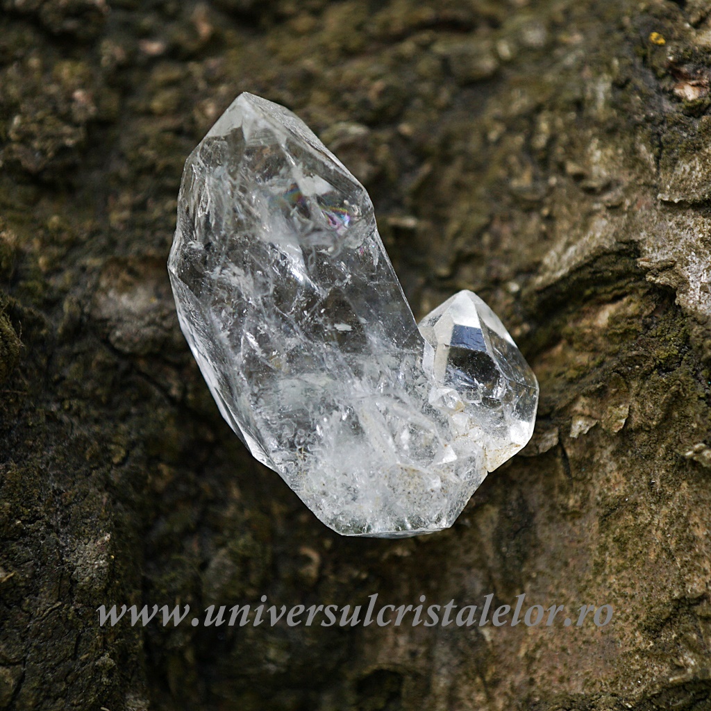 Collectibles Herkimer