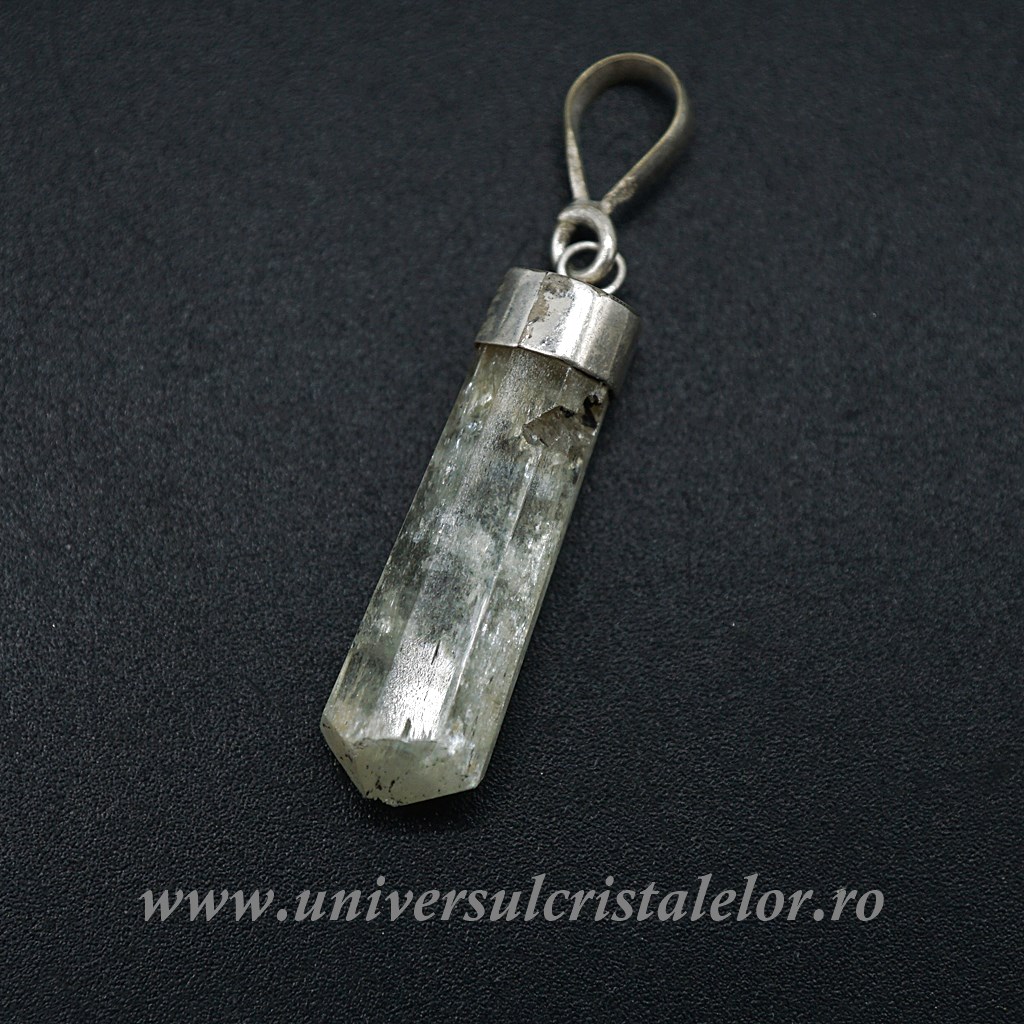 Charms & Pendants Pandantiv hidenit