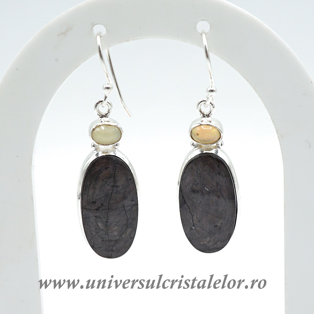 Earrings Cercei hipersten m2