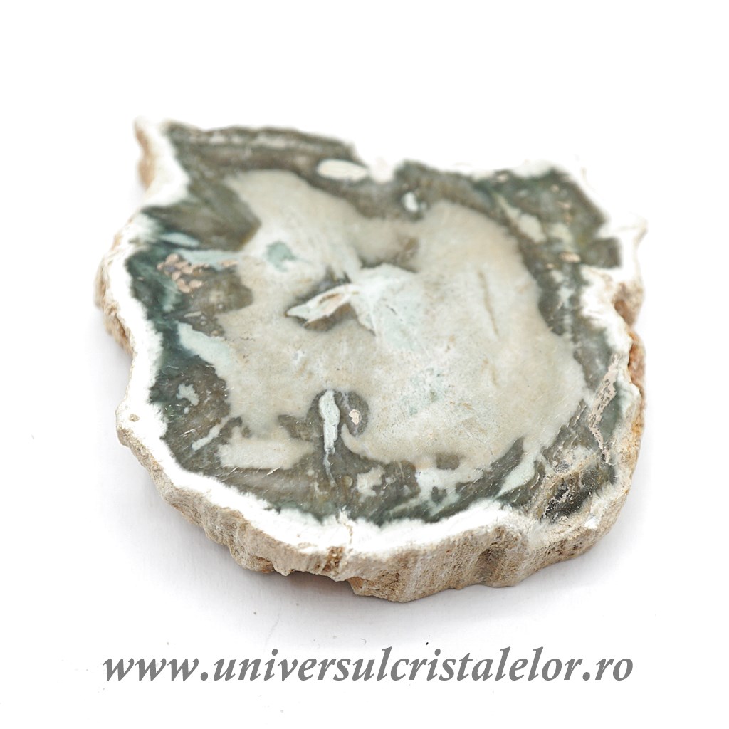 Collectibles Lemn pietrificat