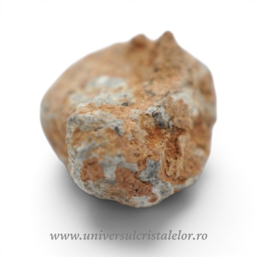 Collectibles Meteorit Lunar