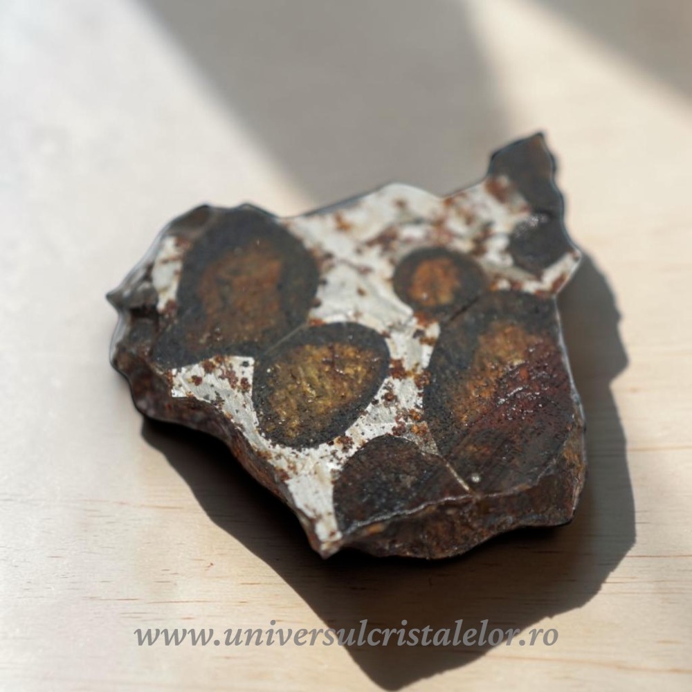 Meteorit Sericho Pallasite felie unicat m01