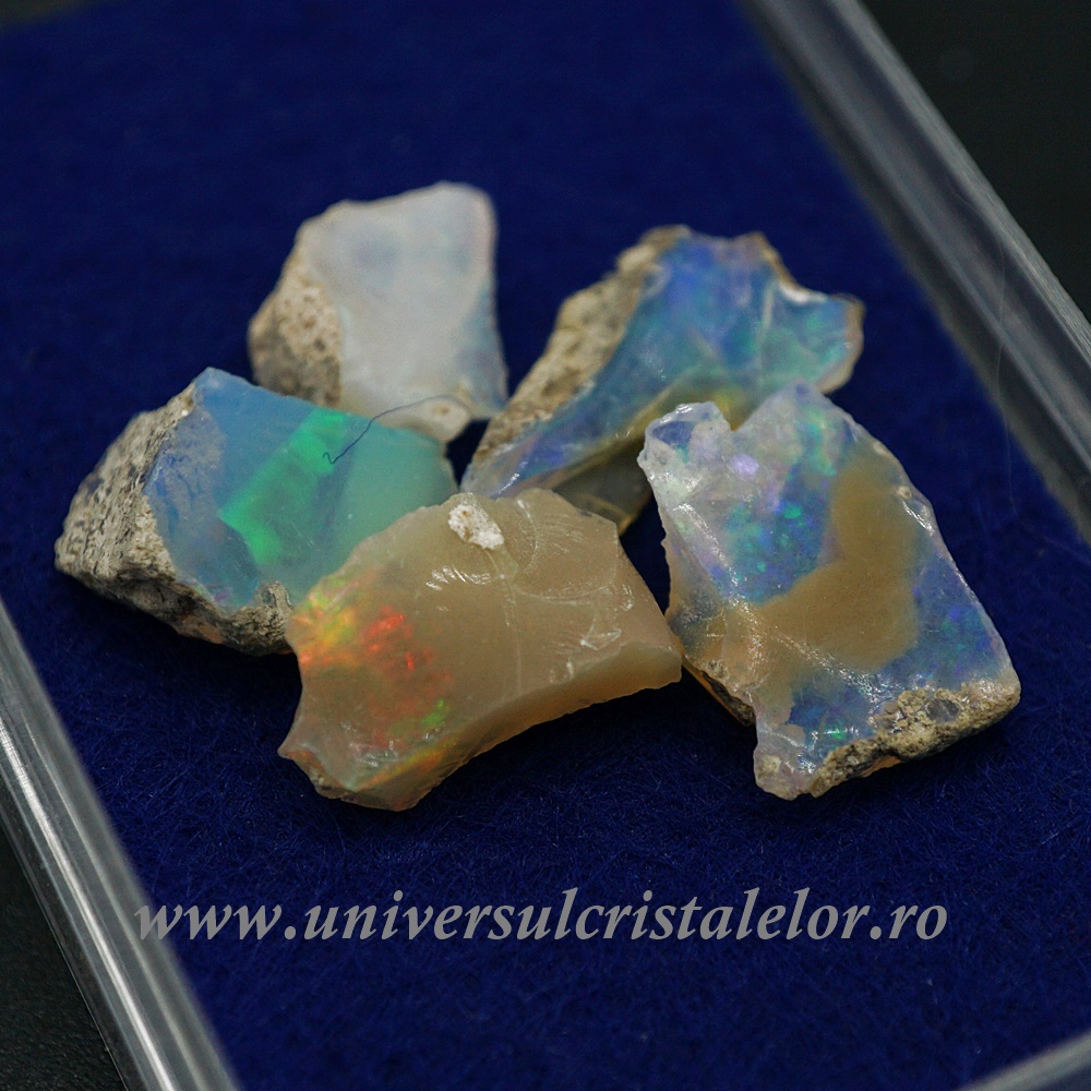 Opal Opal nobil Etiopia cutie m05