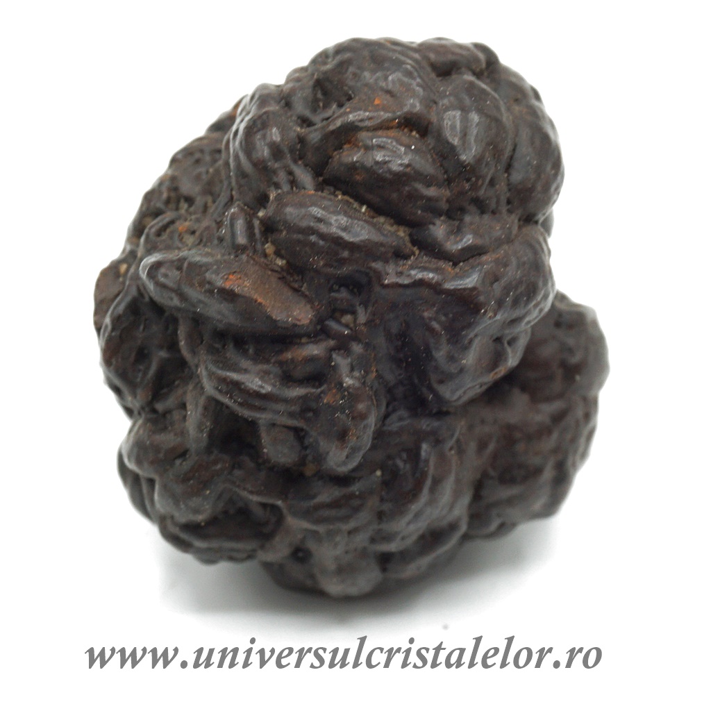 Piatra Profetiei (Piatra profetului)