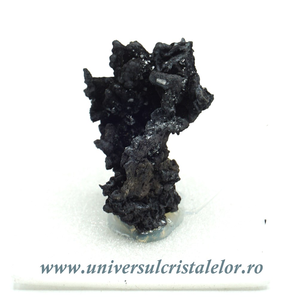 rogal ortopedyczny do spania Piroluzit