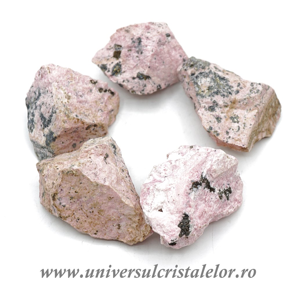 ASUS Monitor Rodonit