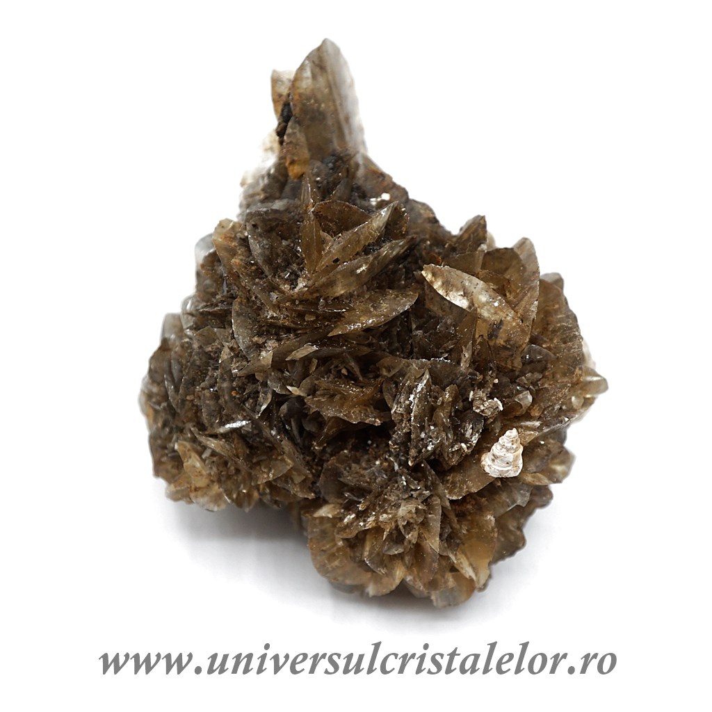 Selenit brut unicat m2