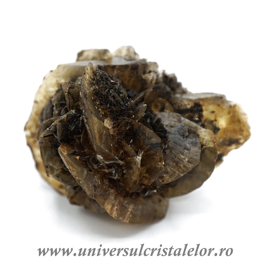 Fresh & Frozen Seafood Selenit brut unicat m6