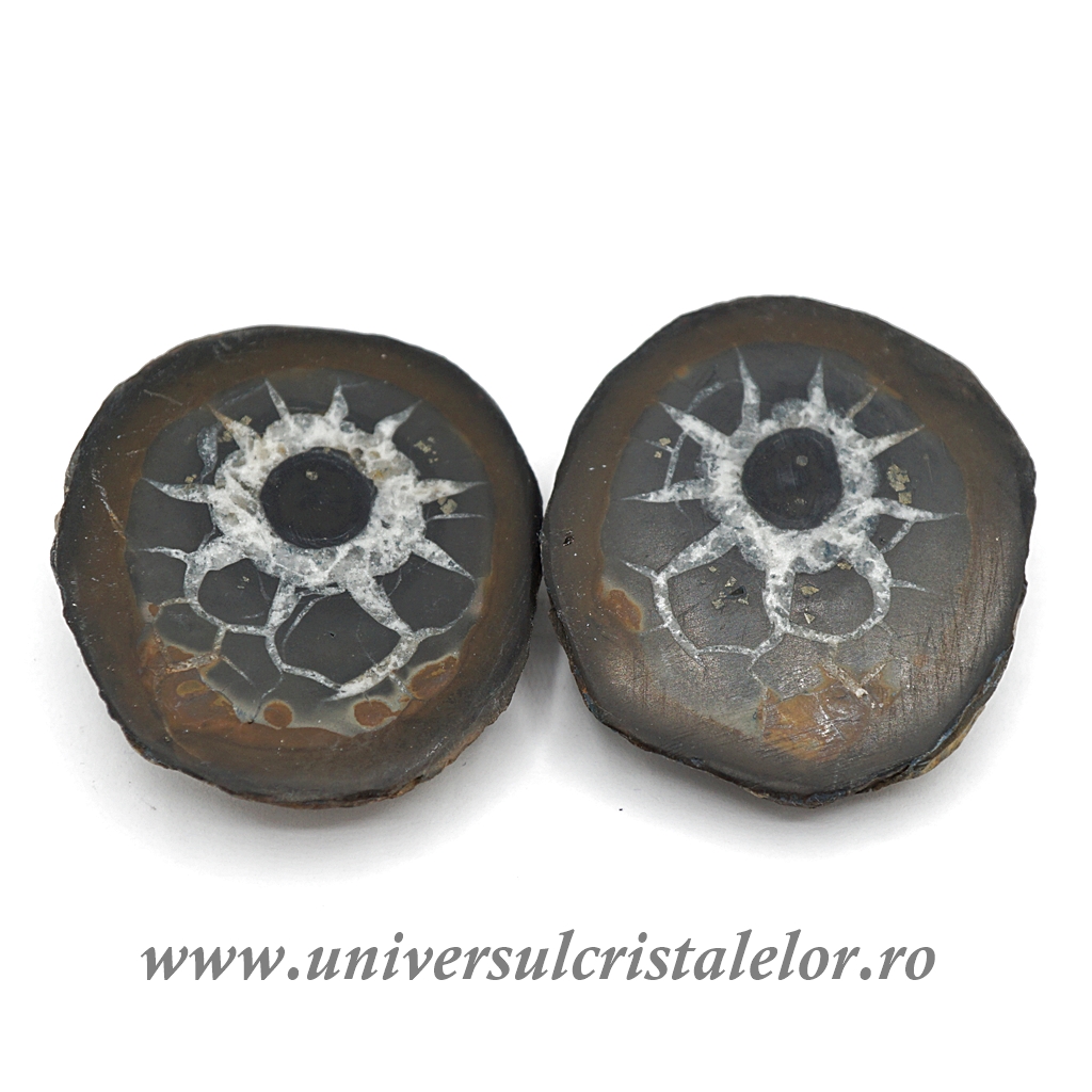 Collectibles Septaria pereche