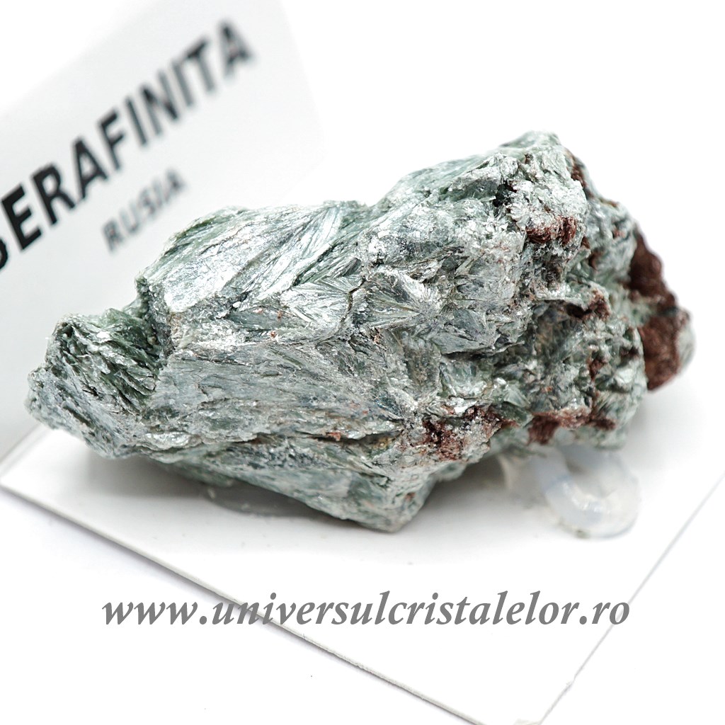 Plants Serafinit