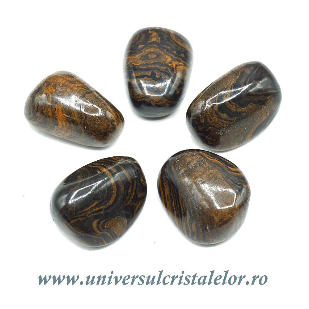 Stromatolit piatra rulata